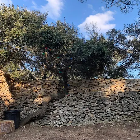Garrigue Avec Piscine Quartier Planette A * Νιμ